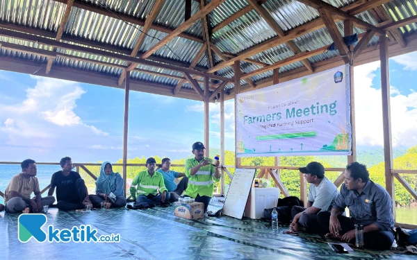 Thumbnail Berita - Kapasitas Petani Lokal Halmahera Selatan Ditingkatkan Lewat Program Obi Sehati