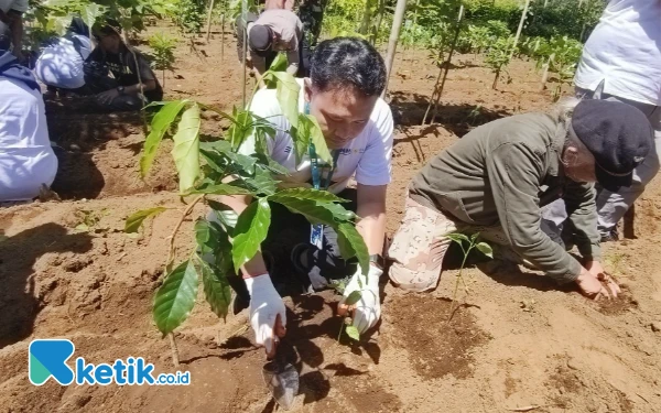 Thumbnail Berita - Ketahanan Pangan dan Konservasi Lingkungan Jadi Garapan TJSL PLN Icon Plus dan PNM