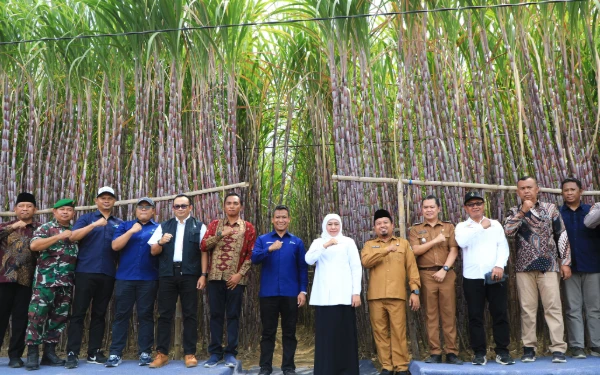 Thumbnail Gubernur Jatim Optimis Percepatan Swasembada Gula Nasional Terwujud