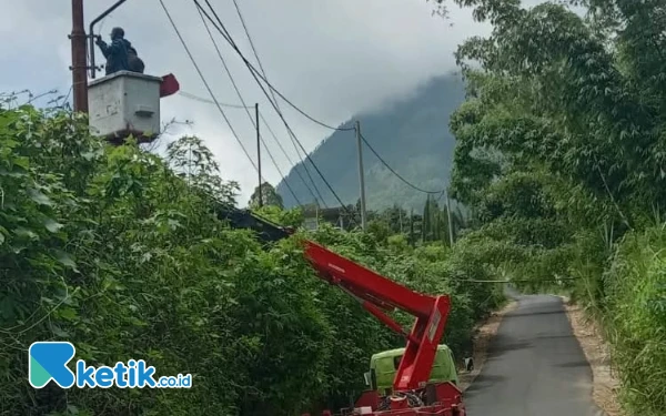 Thumbnail DPUPR Kota Batu Laporkan Dugaan Pencurian Komponen PJU, Kerugian Ditaksir Rp25 Juta