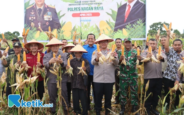 Thumbnail Panen Raya Jagung Tumpang Sari, Kapolres Nagan Raya: untuk Ketahanan Pangan