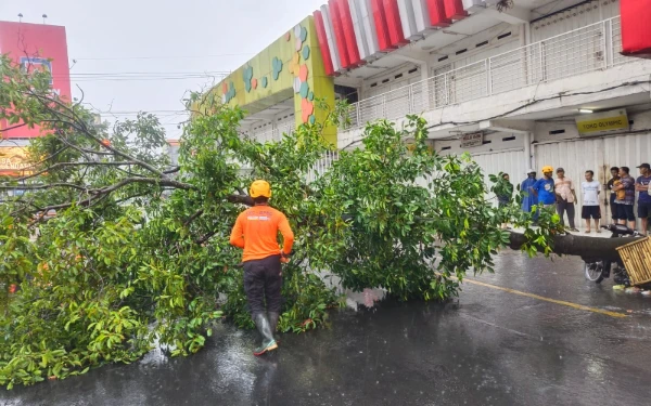 Thumbnail Berita - Berteduh dari Hujan, Motor Tertimpa Pohon Besar di Sekitar Pasar Tanjung Jember
