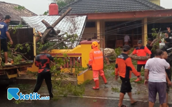 Thumbnail Hujan Lebat Picu Pohon Tumbang di Pacitan, Garasi Ibu Teguh Rusak Tertimpa