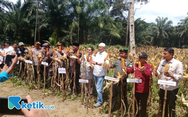 Thumbnail Berita - Bupati Aceh Singkil Raker Teknis Pengendalian Inflasi, Wabup Panen Raya Jagung