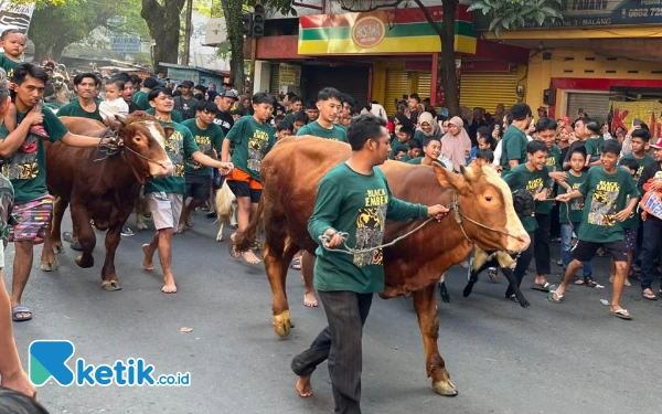 Menjelang Idul Adha, 7.500 Hewan Kurban di Kota Malang Segera Diperiksa