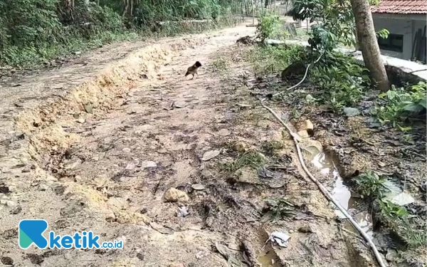 Thumbnail Berita - Jalan di Desa Batoporo Timur Nyaris Longsor, Warga Tutup Sementara Akses Jalan Antar Desa