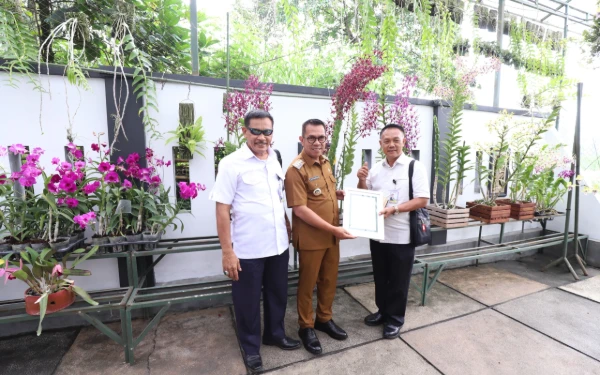 Thumbnail Berita - Anggrek Dendrobium Prabowo Subianto untuk Sang Presiden, Karya Petani Kota Batu