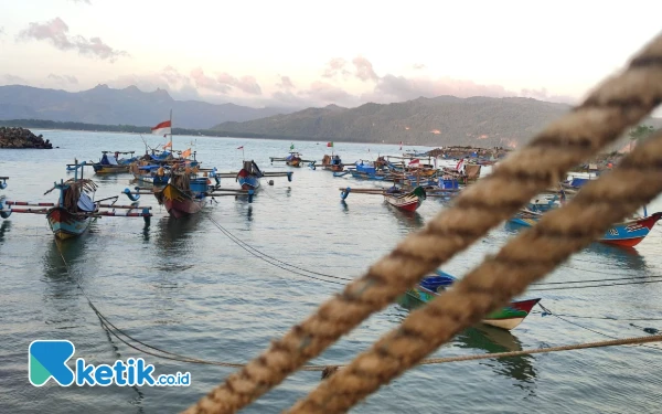 Thumbnail Berita - Anjlok Drastis, Benur dari Nelayan Pacitan Cuma Dihargai Rp2.500 per Ekor