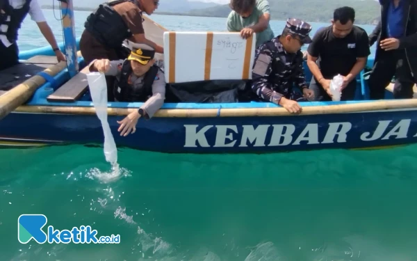 Thumbnail Berita - Kuota Benur Pacitan 2025 Ditetapkan 9 Juta Ekor, Ini Alur Legalnya