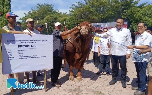 Thumbnail Berita - Sapi Kurban Bantuan Presiden Prabowo Akan Disembelih di Daerah Terpencil Situbondo