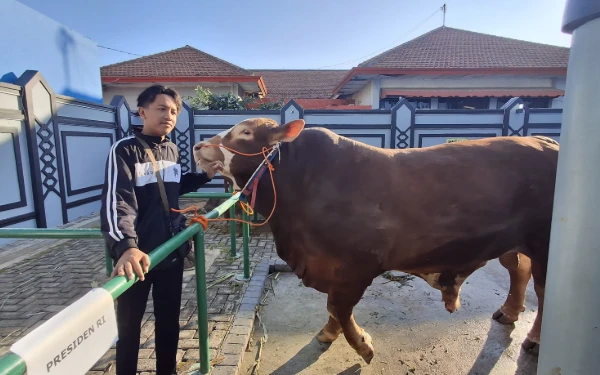 Presiden Prabowo Subianto Berkurban Dua Ekor Sapi di Tuban