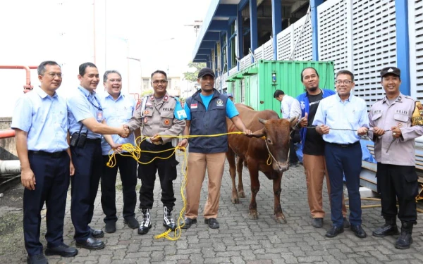 Alhamdulillah, Bogasari Salurkan 65 Hewan Kurban di Iduladha 1446 H