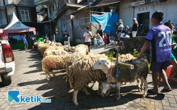 Thumbnail Berita - ‎Dispertan Kota Batu Pastikan Tidak Ada Hewan Kurban yang Sakit