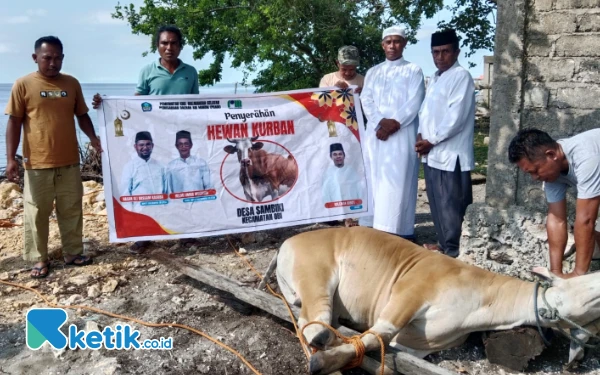 Idul Adha 2025: Pengurus Masjid dan Pemdes Sambiki Halsel Sembelih 9 Hewan Kurban