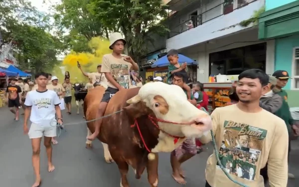 Thumbnail Puluhan Kambing dan Sapi Serbu Kidul Pasar, Ramaikan Perayaan Iduladha 2025 Kota Malang