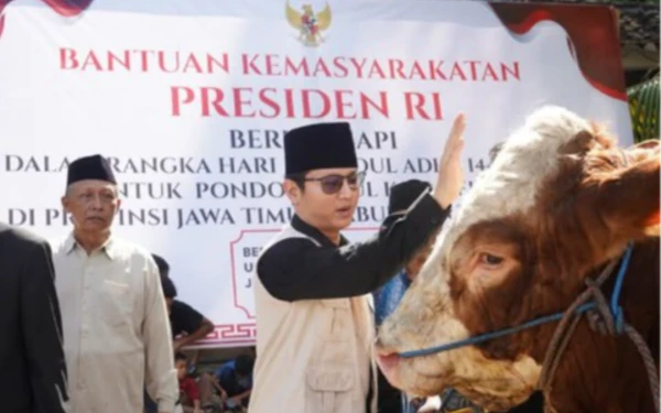 Thumbnail Bupati Trenggalek Serahkan Sapi Bantuan Presiden RI untuk Kurban  ke Pondok Kidul Kali