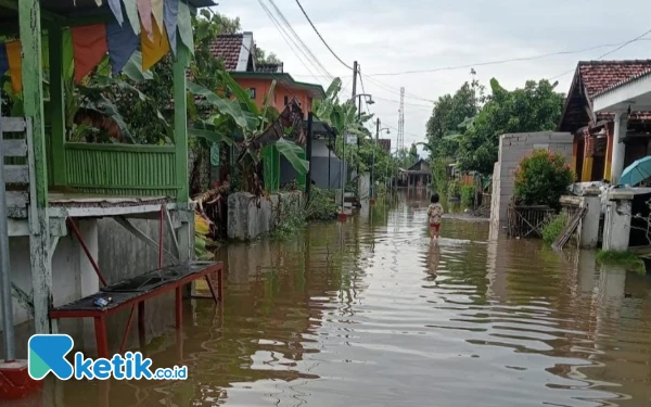 Hujan Deras, Banjir Berulang di Jombang, Minim Mitigasi Tanpa Solusi