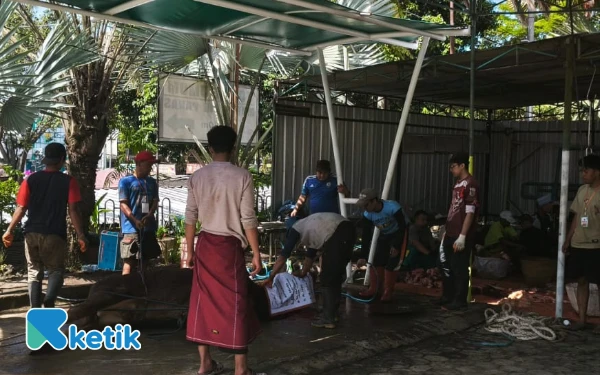 Thumbnail Berita - ‎4.656 Hewan Kurban Disembelih di Kota Batu pada Iduladha 1446 H