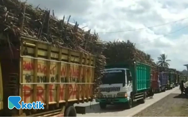 Kemacetan Tahunan Akibat Truk Tebu RMI Blitar Kembali Lumpuhkan Rejoso, Warga Minta Solusi Nyata