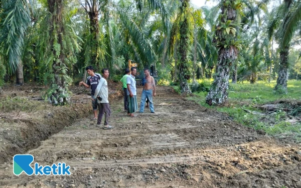 Thumbnail Maksimalkan Swasembada Pangan, Pemdes Lhok Gayo Abdya Bangun Jalan di Lahan Perkebunan