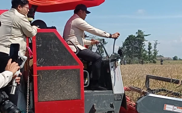 Thumbnail Berita - Gapai Swasembada Pangan, Ini Strategi Wamentan Sudaryono