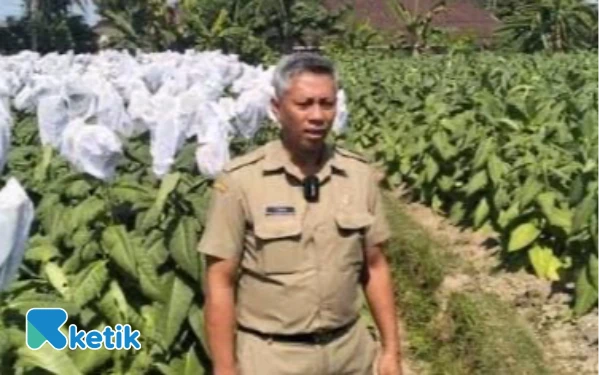 Thumbnail Optimalkan DBHCHT, DKPP Kabupaten Blitar Genjot Infrastruktur Pertanian Tembakau