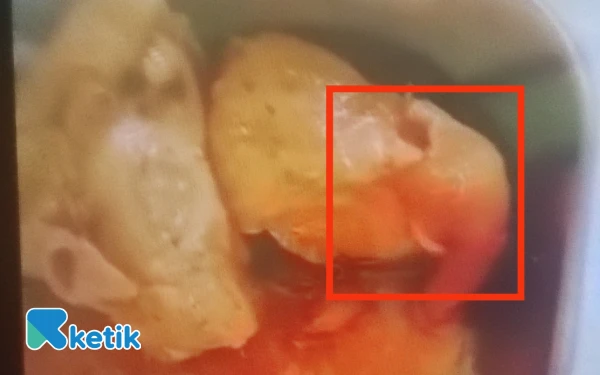 Thumbnail Berita - Waduh! Makan Bergizi Gratis Perdana di Tambakboyo Tuban Ada Belatung Hingga Intimidasi Jurnalis