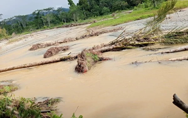 Thumbnail Berita - Sungai Tabuji di Pulau Obi Keruh Warga Mengeluh, PT Artha Rimba di Duga Pelaku