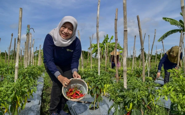 Thumbnail Berita - TPID Kota Surabaya Klaim Harga Tomat dan Cabai Stabil