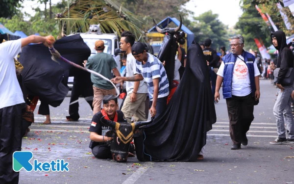 Thumbnail Berita - ‎Bantengan Nuswantara Kota Batu Diikuti Ratusan Kontingen, Termasuk dari Luar Negeri   ‎