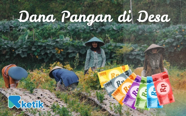 Thumbnail Berita - Dana Pangan Desa Pasca COVID-19: Jalan Panjang Menuju Kedaulatan Pangan Halmahera Selatan