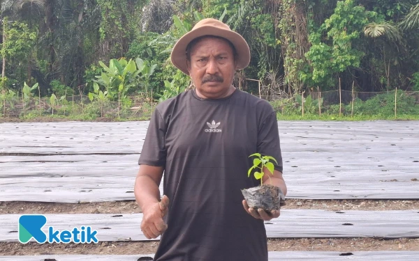 [FOTO] Rangkaian Gerakan Tanam Cabai Serentak Halmahera Selatan