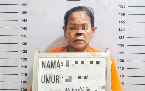 Ibu Tunggal 2 Anak di Labuhanbatu Edarkan Sabu, Sepaket Untungnya Rp 10 Ribu