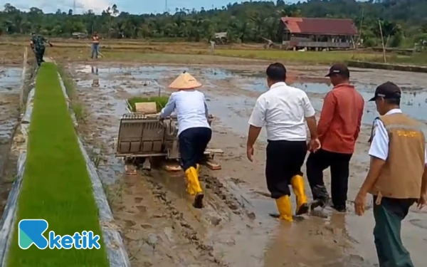 Thumbnail Berita - Wabup Aceh Singkil Tanam Padi di Suro, Targetkan Semua Desa Mandiri Pangan