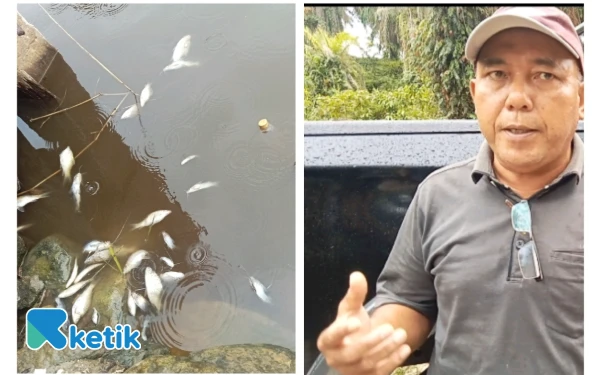 Ribuan Ikan Mati Terapung, Penyebabnya Diduga Kebocoran Limbah PT. Nafasindo