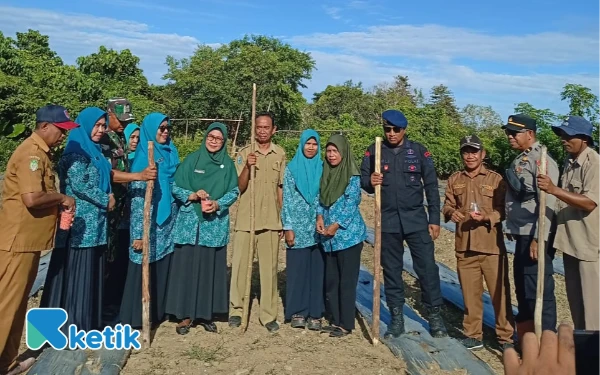 Pemdes Akegula Tanam Jagung 1 Hektare Dukung Ketahanan Pangan