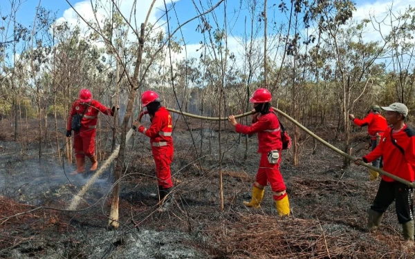Thumbnail Berita - Tiga Hari Manggala Agni Berupaya Padamkan Kebakaran Hutan di Muara Enim