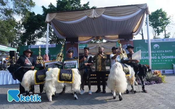 Thumbnail Berita - Kontes Kambing dan Domba Kota Batu 2025, Ajang Tingkatkan Kualitas Ternak di Jawa Timur