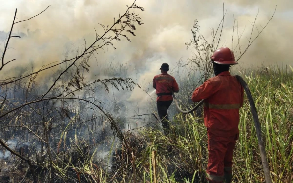 Thumbnail Berita - Kabut Asap Kepung Palembang, Pagi Hari Kualitas Udara Tidak Sehat