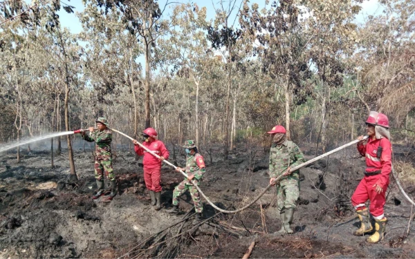 Lima Hari Manggala Agni dan Tim Gabungan Tuntas Padamkan Karhutla di Muara Enim