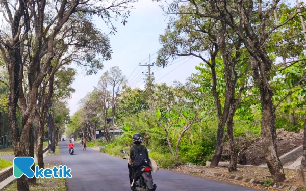 Thumbnail Berita - Festival Tabebuya 2025 Kota Batu Siap Tarik Ribuan Wisatawan