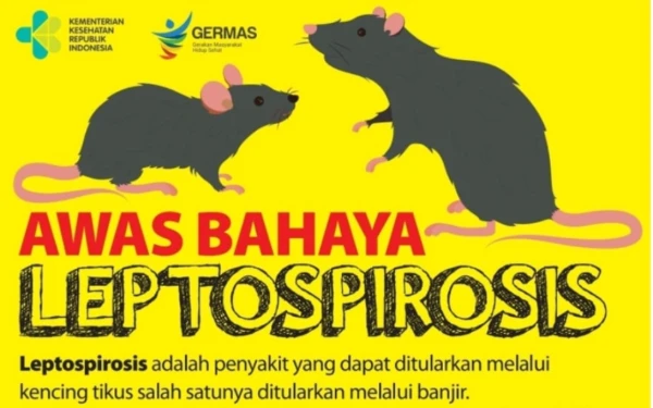 Dinkes Sleman Peringatkan Bahaya Leptospirosis, 74 Kasus Positif dan 5 Meninggal Akibat Keterlambatan Berobat