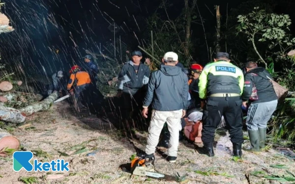 Thumbnail Berita - Pohon Raksasa di Jalan Raya Cangar Tumbang, Jalur Kota Batu - Mojokerto Terputus