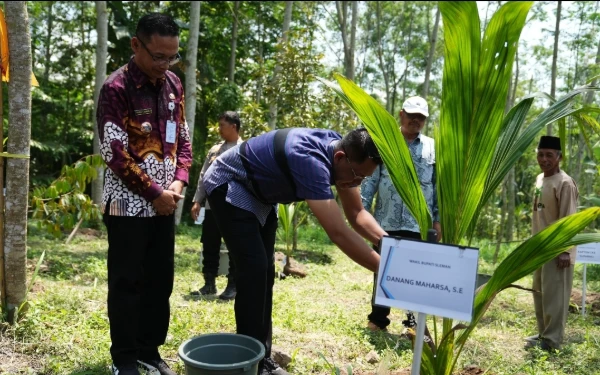 Pimpin Penanaman Kelapa Hibrida, Wabup Sleman Sebut Kelompok Tani Ujung Tombak Kesejahteraan