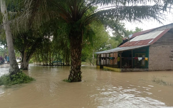 BNPB: Banjir dan Kebakaran Landa Sejumlah Wilayah Indonesia pada 12–13 Oktober 2025
