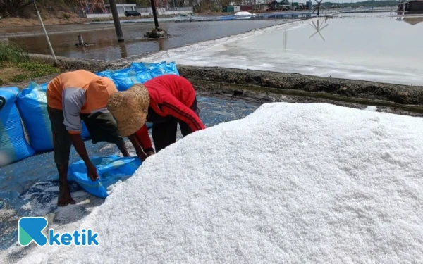 Thumbnail Perjuangan Petani Garam Osowilangun Surabaya Hadapi Kemarau Basah, Selalu Waspada Perubahan Musim