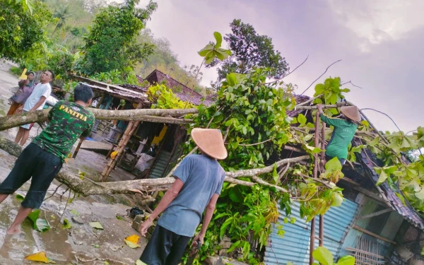 Thumbnail Berita - BNPB Catat 7 Bencana Baru di Indonesia, Didominasi Cuaca Ekstrem