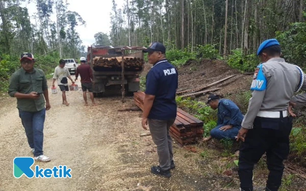 Patroli Gabungan Ungkap Jejak Kayu Tak Bertuan di Hutan Dalam Halmahera Timur