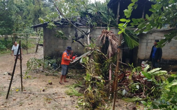 Thumbnail Berita - Banjir hingga Angin Kencang Terjang Sumut dan Jateng, Puluhan Rumah Terdampak