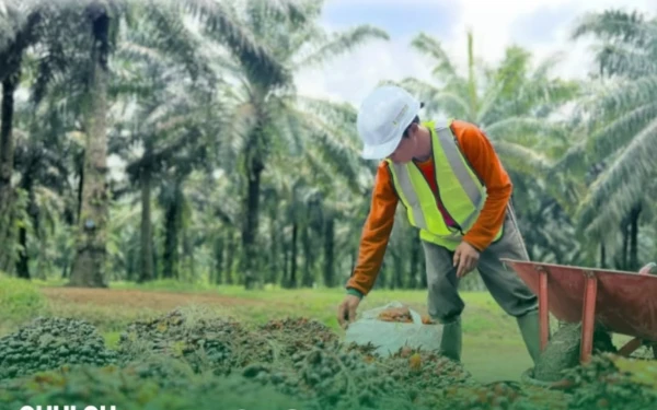 Thumbnail Berita - PT Agrinas Palma Nusantara Buka Lowongan Besar-Besaran! Cek Posisi dan Syaratnya di Sini